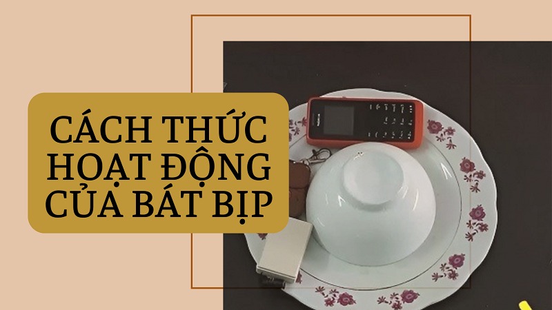 Cách thức hoạt động của bát bịp như thế nào?